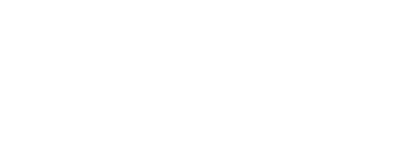dNICC Logo